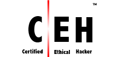 CEH（認定ホワイトハッカー）