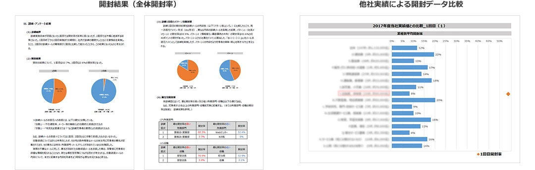 報告書イメージ 開封結果