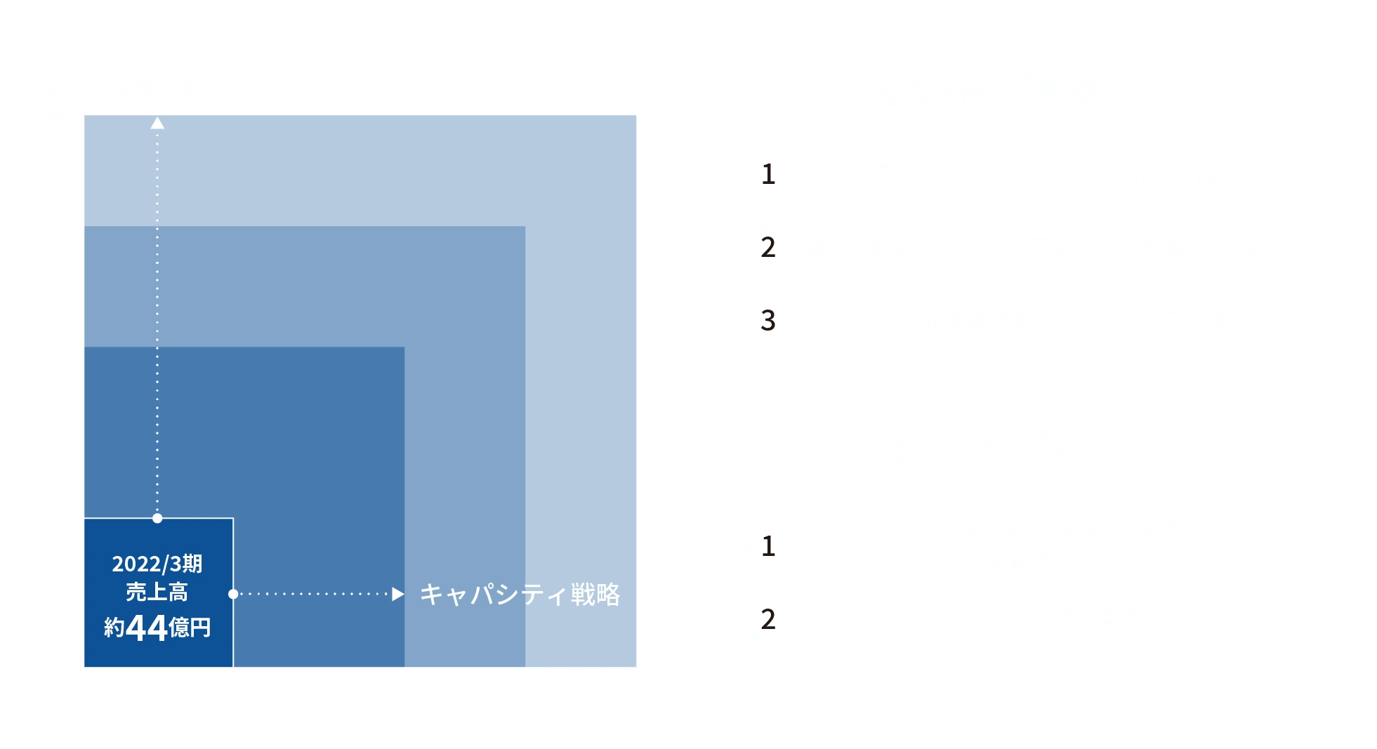 販売の拡大　受注キャパシティの拡大　2022/3期売上高約44億円　販売戦略キャパシティ戦略　営業案件を獲得する①日本全国のIT企業のパート―ナー化　間販②営業戦略およびマーケティング戦略強化　直販③サービスの付加価値化、ラインナップの拡充　旺盛な需要に対応する①社内において教育口座の受講・資格取得を推進し、セキュリティ人材を育成②デリバリーパートナー企業の育成