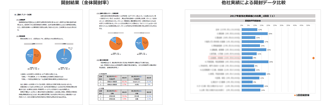 報告書イメージ 開封結果