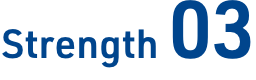 Strength03